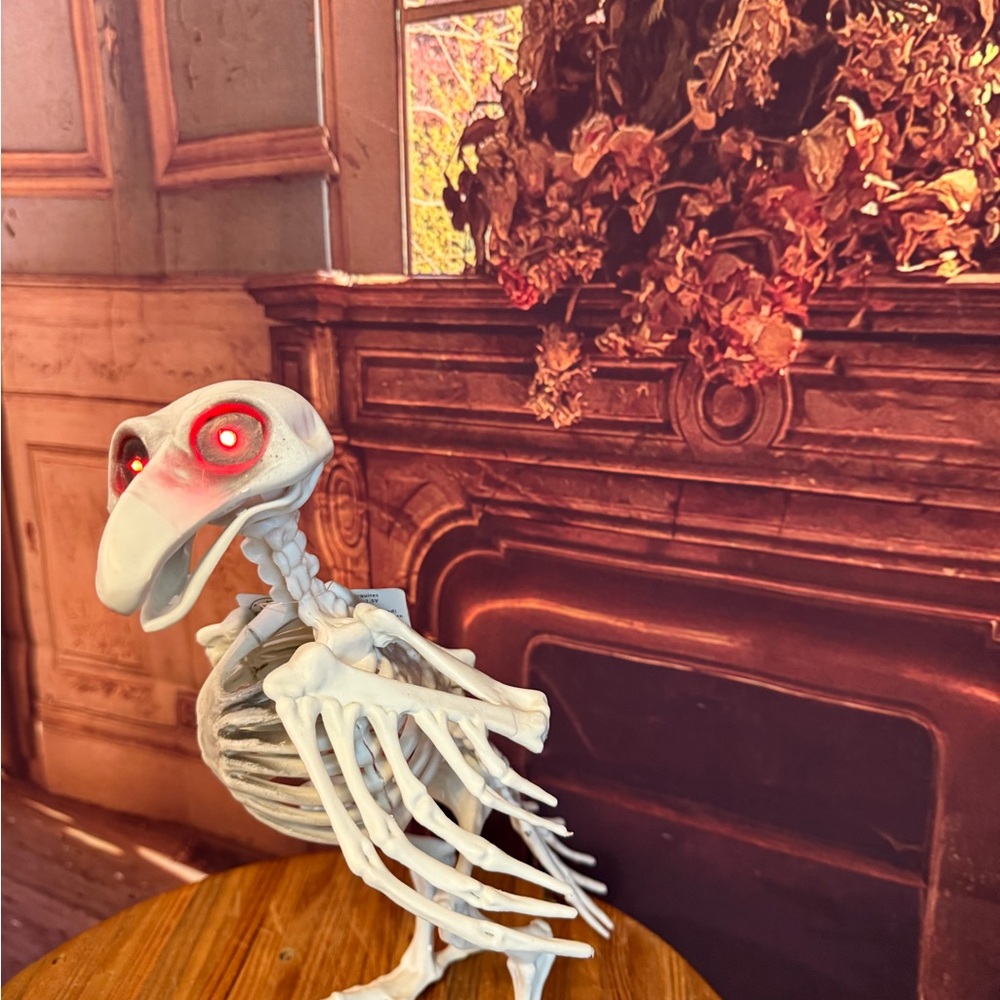 Skeleton Vulture Crow Halloween Bird Decor with Red Eyes Decor Party Craft NWT - Picture 5 of 17